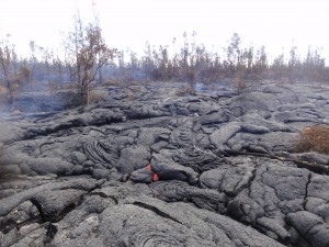 This photo taken on Jan. 21 shows a ground look at an active portion of the June 27 lava flow. HVO photo.