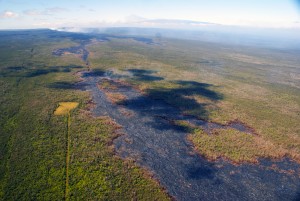 This photograph taken on Jan. 29 looks upslope along the ground crack system of Kīlauea's East Rift Zone. A small breakout from the lava tube is burning forest just left of the center of the photograph. In the upper left, thick fume is emitted from Puʻu ʻŌʻō. Near the top of the photograph, the snow-covered peak of Mauna Loa can be seen. HVO photo.