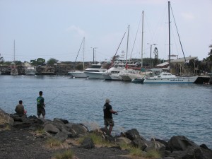 Honokohau Harbor in Kona. File photo.