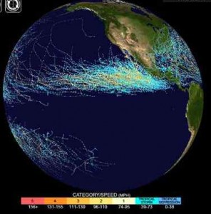 This NOAA image shows the cumulative tracks of hurricanes originating in the East Pacific from 1950-2005.