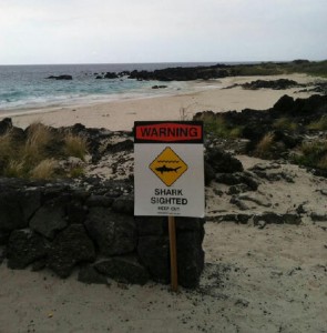 The sign posted at Mahaiula Beach today following the shark attack. DLNR photo.