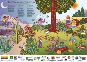 This poster from the US Fish and Wildlife Service notes that pollinators come in many forms.