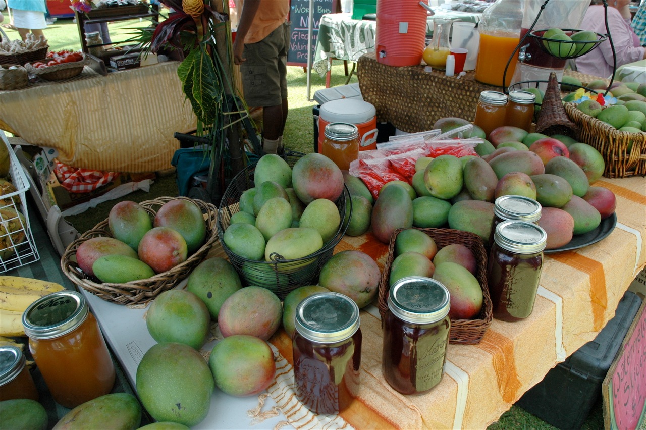 A sampling of the mango mania from a previous Annual Mango Festival. Photo courtesy of Fern Gavelek.