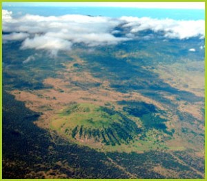 The Pu'u Wa'awa'a cone and forest reserve beyond. USFS photo.