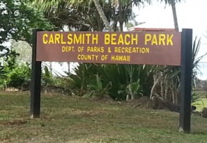 carlsmith park sign