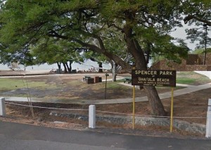 Spencer beach park. Google Earth image.