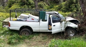 A Toyota pickup carrying two local males smashed into an ohia tree along Highway 11 in Hawaii Volcanoes National Park Sunday morning. Photo by Dave Smith.