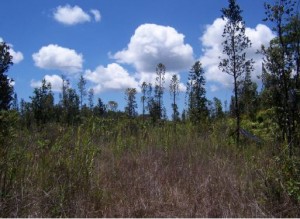 This is the future location of lower Puna's stand-alone emergency room, located several miles west of Pahoa on Highway 130. EA photo.