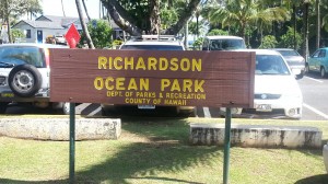 Richardson Ocean Park in Hilo has been the scene of three rounds of treatment for little fire ants so far this year. File photo.