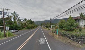 The general area of the shooting in Honaunau. Google image.