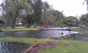 Waters rise at Queen Liliuokalani Park in Hilo as Hurricane Iselle barrels toward the Big Island. Photo by Illene Alford.