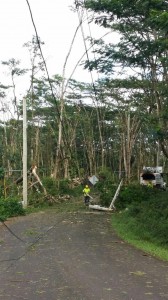 A worker picks through debris while clearing power lines in Hawaiian Paradise Park. Photo by Kristin Hashimoto.