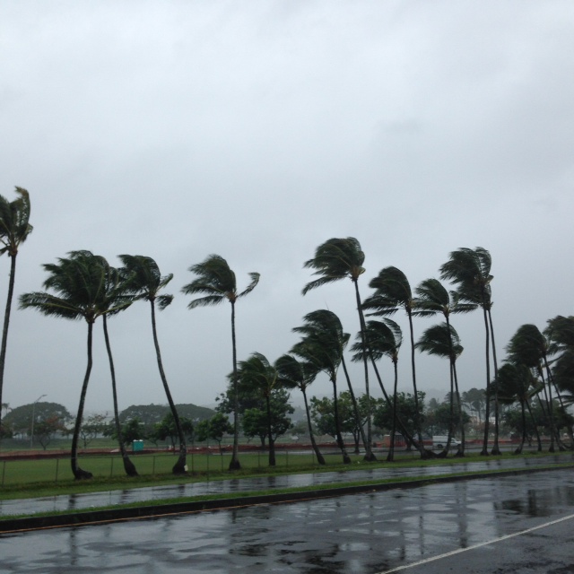 High winds and heavy rain begin to whip Downtown Hilo. Photo by Wainani.