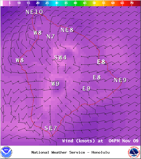 Expected wind conditions at 4pm - Image: NOAA / NWS