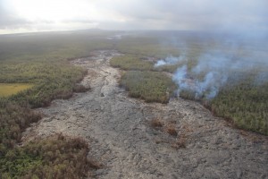 This photo taken Dec. 22, shows a west southwest view of breakouts from the lava tube near the True/Mid-Pacific geothermal well site that are active and slowing moving towards a forest to the north. HVO photo.