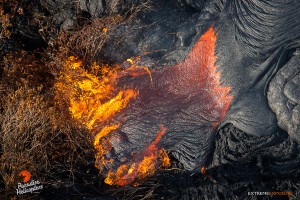 In this photo taken on Jan. 23, Pahoa overflight: A toe of lava breaks out and burns scrub brush in an area above Hwy 130.  Photo credit: Extreme Exposure Media/Paradise Helicopters