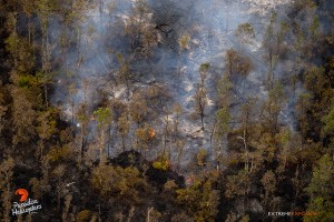 This photo taken on Jan. 15 shows an active lobe as it moves through an area recently scorched by a brush fire it spawned. Photo: Extreme Media Exposure/Paradise Helicopters.
