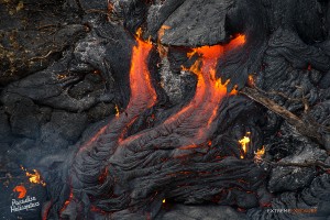 In this photo taken on Jan. 14 an increase in back pressure, causes a tube's crust breaks and releases molten lava, slowly expanding the flow field above the Pahoa Marketplace. Photo: Extreme Media Exposure/Paradise Helicopters.