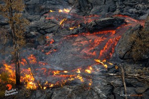 This photo taken on Jan. 16 shows lava pouring from the fractured side of a tube. Photo: Extreme Exposure Media/Paradise Helicopters.
