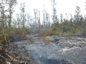 Hawai’i County Civil Defense lava flow image taken from the ground on Jan. 16. Civil Defense photo. 