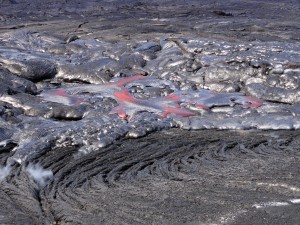 In the upslope portion of the June 27th flow field, a breakout was active on Jan. 29 north of the forested cone of Kahaualeʻa. Some of this lava was the "blue glassy" type of pāhoehoe, which often represents lava that has been stored within an inflated flow for several days. HVO photo.