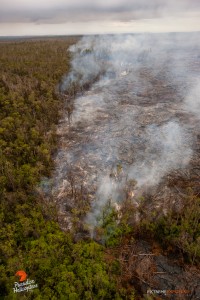 Overflight view of the June 27 lava flow taken on Jan. 2. Photo credit: Extreme Exposure/Paradise Helicopters. 