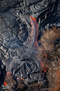 This photo taken on Feb. 4 shows a large finger of lava breaks out along the edge of the flow, pushing into the adjacent brush. Photo credit: Extreme Media Exposure/Paradise Helicopters.