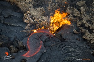 In this photo taken on Feb. 6 a shrub bursts into flames as pahoehoe makes its way into an old field of ‘a‘a. Photo credit: Extreme Exposure/Paradise Helicopters.