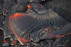 This photo, taken on Feb. 6, shows a finger of pahoehoe creates silvery ropey braids as it spreads and cools. Photo credit: Extreme Exposure/Paradise Helicopters.