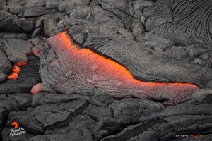 In this photo, taken Feb. 24 at 8 a.m., a tongue of lava oozes from beneath the hardened crust of the flow. Photo credit: Extreme Exposure Media/Paradise Helicopters.