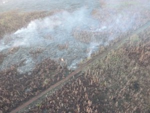 Hawai'i County Civil Defense image, taken Feb. 23, of a surface breakout along the north margin near dirt road/fire break. Civil Defense photo.