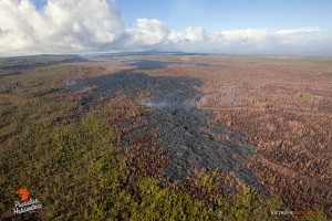 In this photo, taken on Feb. 13, a few active lobes of lava were visible, and continue to expand the boundaries of the flow field just above the distal tip. Photo credit: Extreme Exposure Media/Paradise Helicopters.