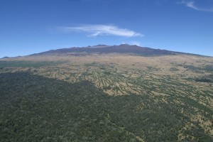 Aerial view of the Hakalau Forest National Wildlife Refuge. Credit: U.S. Fish and Wildlife Service Staff.