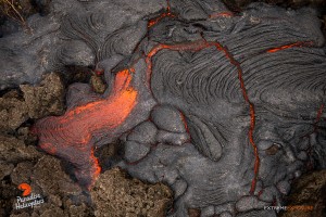 In this photo, taken March 16, pressure builds from within, fracturing the cooled crust of a fresh flow, releasing the fluid pahoehoe. Photo credit: Extreme Exposure Media/Paradise Helicopters.
