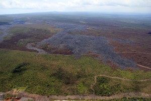 This photo, taken March 17, shows the downslope portion of the June 27 lava flow. As reported since March 12, the leading edge just upslope of the Pahoa Marketplace, is inactive. The active breakouts noted Tuesday were more than 14 km (8.7 mi) straight-line distance from the Marketplace. USGS HVO photo.