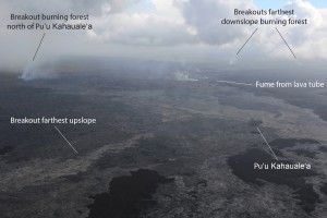 This image, taken on March 24, shows breakouts that were active in three general areas near Puʻu ʻŌʻō: at the northern base of Puʻu ʻŌʻō, north Kahaualeʻa, and about 6 km (4 mi) northeast of Puʻu ʻŌʻō. The distal breakout and the breakout north of Kahaualeʻa were both burning forest. There is no eruptive activity downslope from the distal breakout (nothing active near Pāhoa). USGS HVO photo.