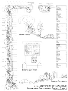 Permaculture design plans for the parking lot.  Courtesy photo.
