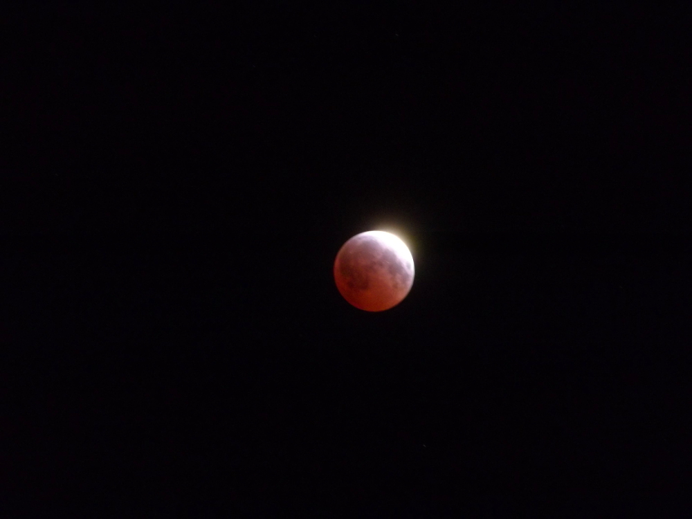 April 4, 2015 total lunar eclipse / Image: Asa Ellison
