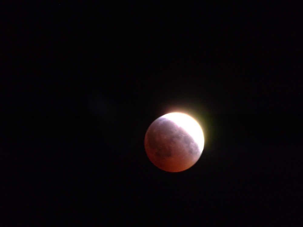 April 4, 2015 total lunar eclipse / Image: Asa Ellison
