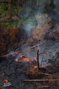 April 16, 2015. Lava continued to advance into forested areas about 5 miles downslope of Pu‘u ‘O‘o crater. Photo credit: Extreme Exposure Media/Paradise Helicopters.