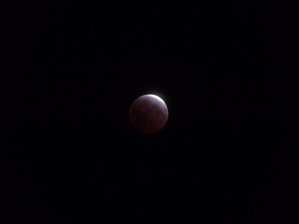 April 4, 2015 total lunar eclipse / Image: Helena Ross Brown