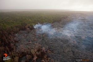 April 16, 2015. Activity continues in this area about a mile north of Pu‘u ‘O‘o, as lava continues to encroach upon the northern tree line. There were numerous breakouts in the middle of the flow field as well. Photo credit: Extreme Exposure Media/Paradise Helicopters.