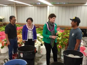 Senator Hirono and USDA Deputy Secretary Harden get an update on Hawai’i’s floriculture industry from Eric & Jon Tanouye at Green Point Nurseries in Hilo