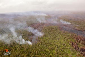 This photo, taken on May 6, shows a view of the distal tip of the June 27 lava flow, approximately 5 miles downslope from Pu‘u ‘O‘o, and 8 miles upslope of Pahoa. The haze in this photo is rain. Photo credit: Extreme Exposure Media/Paradise Helicopters.