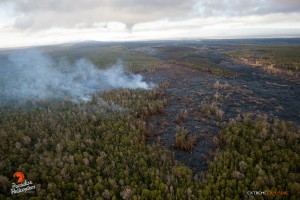 June 11: The distal tip remains about 8 miles upslope of Pahoa, and continues to push into an ohia forest. Photo: Extreme Exposure Media/Paradise Helicopters.
