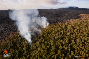 June 25: Robust activity was observed about two miles downslope of Pu‘u ‘O‘o, as lava continues to push into the adjacent ‘ohia forest.  Photo: Extreme Exposure Media/Paradise Helicopters.