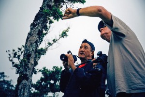 Photographers-in-residence Nate Yuen (left) and Jack Jeffrey examine a kahuli tree snail on an ʻōhiʻa tree during the project team's first shoot together on Kohala Mountain. (Photo © Andrew Richard Hara)