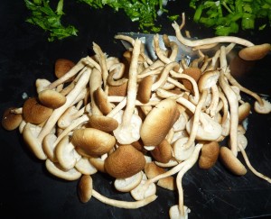 Mushroom Risotto. Photo: Kristin Frost Albrecht.