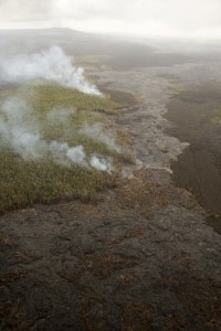 June 30: Active pāhoehoe lava is scattered over a broad area northeast of Puʻu ʻŌʻō, but has not advanced significantly over the past month. Tuesday, the farthest active lava was about 7.5 km (4.7 miles) from the vent on Puʻu ʻŌʻō, with the leading tip of this breakout burning vegetation. Aerial view towards the southwest. Puʻu ʻŌʻō is in the upper left. USGS/HVO photo.