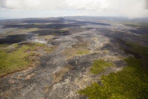 July 23: This photograph looks west along the East Rift Zone, towards Puʻu ʻŌʻō and Kīlauea's summit. Puʻu ʻŌʻō can be seen near the horizon, on the left side of the image. Kīlauea's summit plume can be seen in the distance in the upper right portion of the photograph. USGS/HVO photo. 
